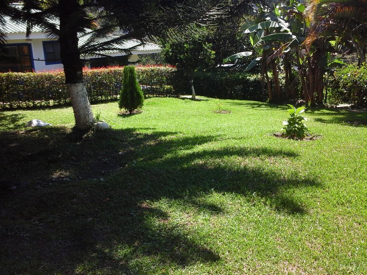 Hotel Villa Paz San Francisco  Buitenkant foto